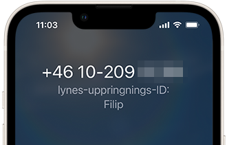 CallerID_2.png